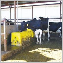 Load image into Gallery viewer, Ritchie Watermaster 600 6' Long Insulated Water Narrow Deep Trough