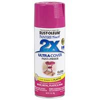 Spray Paint 12 oz Pink