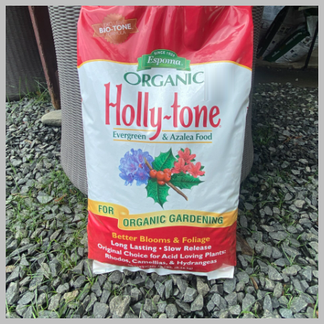 Espoma Organic Holly-Tone 4-3-4 Natural Organic Evergreen Azalea Plant Food; 36 lb. Bag; The Original Best Fertilizer for All Acid Loving Plants