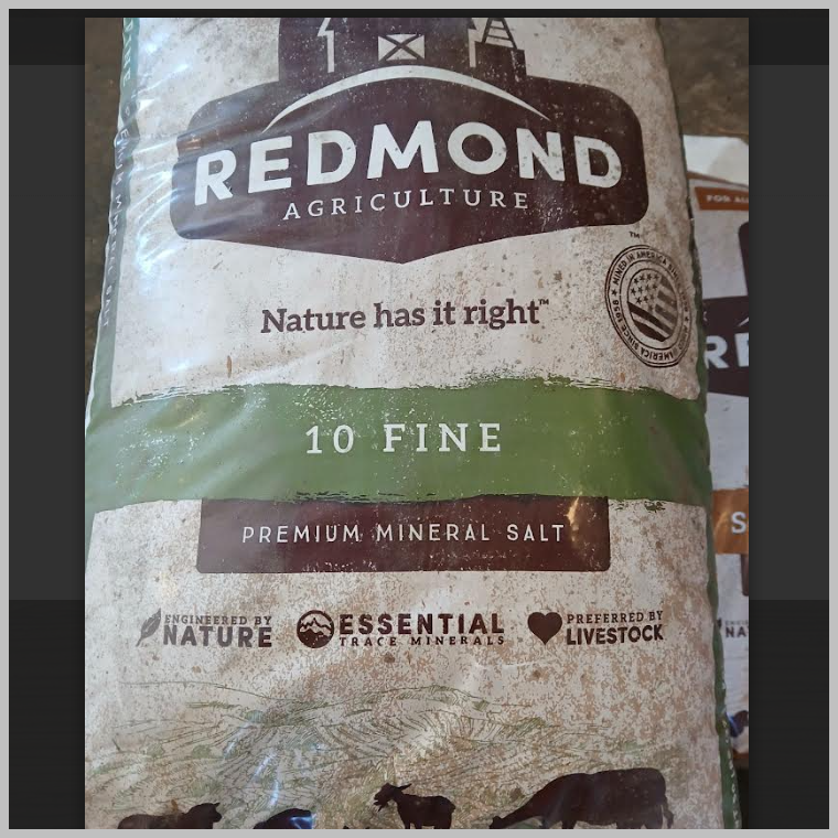 Redmond 10 Fine Premium Mineral Salt 50#