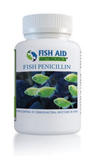 Load image into Gallery viewer, Fish Penicillin 250 MG 100 count bottle