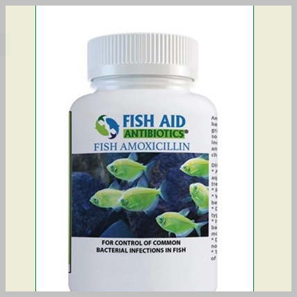 Amoxicillin 500 mg 30 Count Fish Mox