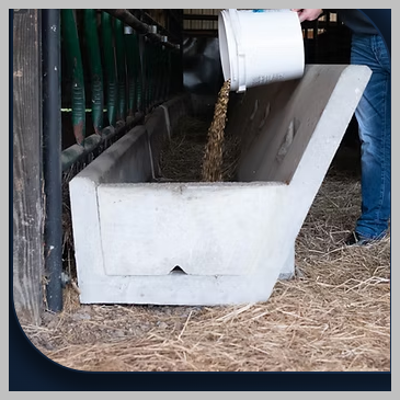 8' J Bunk Concrete Feeders