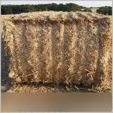 LARGE Straw Bale 3' x 4' x 8' SO Special Order by Request
