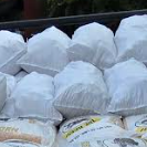 Cob Corn in White Bag (56 bushel corn bag)