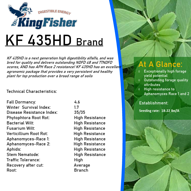 Alfalfa KingFisher 435 HD 50# Seed SO Special Order by Request