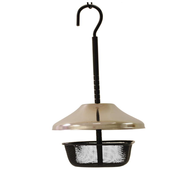 Mealworms Bird Feeder Wildlife Sciences