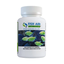 Load image into Gallery viewer, Amoxicillin 500 mg 60 Count Fish Mox