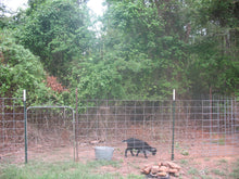 Load image into Gallery viewer, Wire Panel 16' x 48" 4" x 4" Sheep and Goat