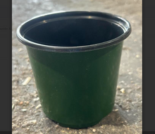 Load image into Gallery viewer, Pot 4" Azalea 2726/case   Sold Individually