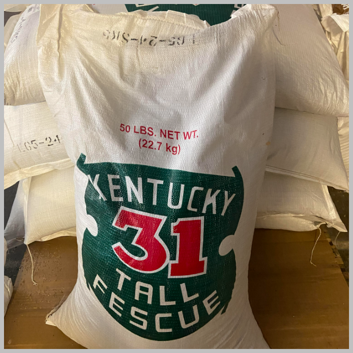 planting kentucky 31 grass seed KY 31 Tall Fescue 100% seed 50# Bag – Agcare Products