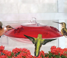 Load image into Gallery viewer, DY Window Hummer 3 Hummingbird
