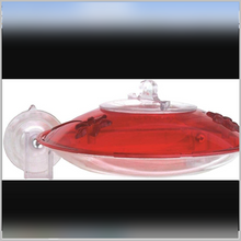 Load image into Gallery viewer, DY Window Hummer 3 Hummingbird