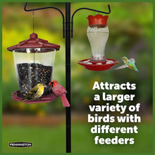 Load image into Gallery viewer, Feeder Pole Plus Hanger for Bird Feeders, bird house and plants Penninton