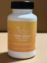 Load image into Gallery viewer, Metronidazole Fish Zole 250mg 30 count