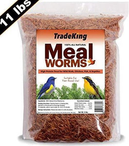Mealworms Dried 11 lb. Bag