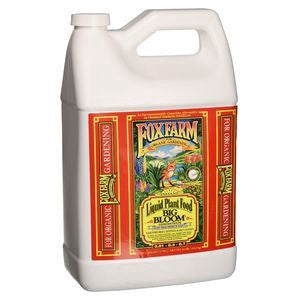 Big Bloom Liquid Concentrate 1 gallon jug