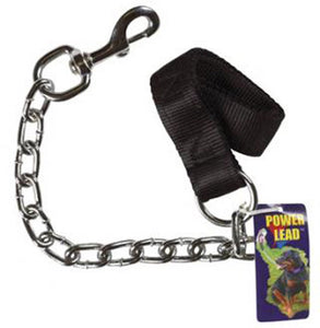Chain Lead Steel Dog Leash 24'
