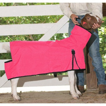 Goat Blanket Pink Med