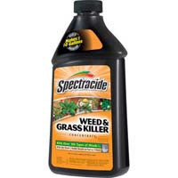 Spectr Weed & Grass Killer Conc