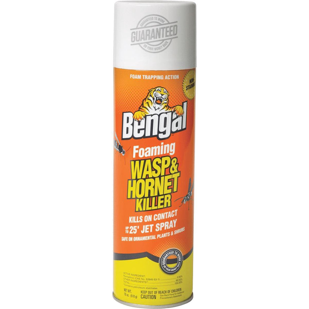 Foaming Wasp& Hornet Spray 18 oz