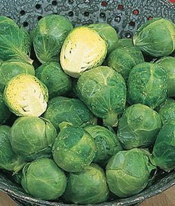 Brussel Sprouts, Long Island