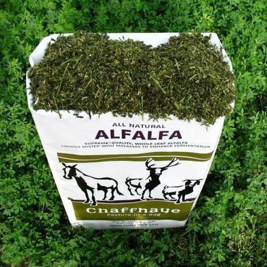 Chaffhaye Alfalfa Fermented 50#