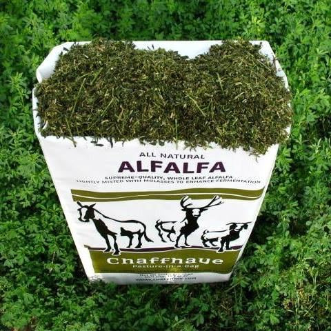 alfalfa dünger Chaffhaye Alfahay Alfalfa Fermented 50# 42/pallet – Agcare Products