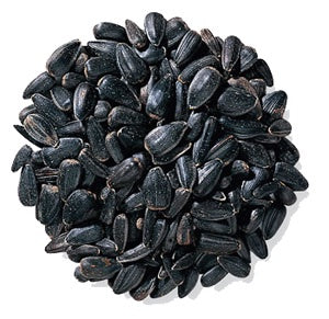 Sunflower Black Oil Seed 50#