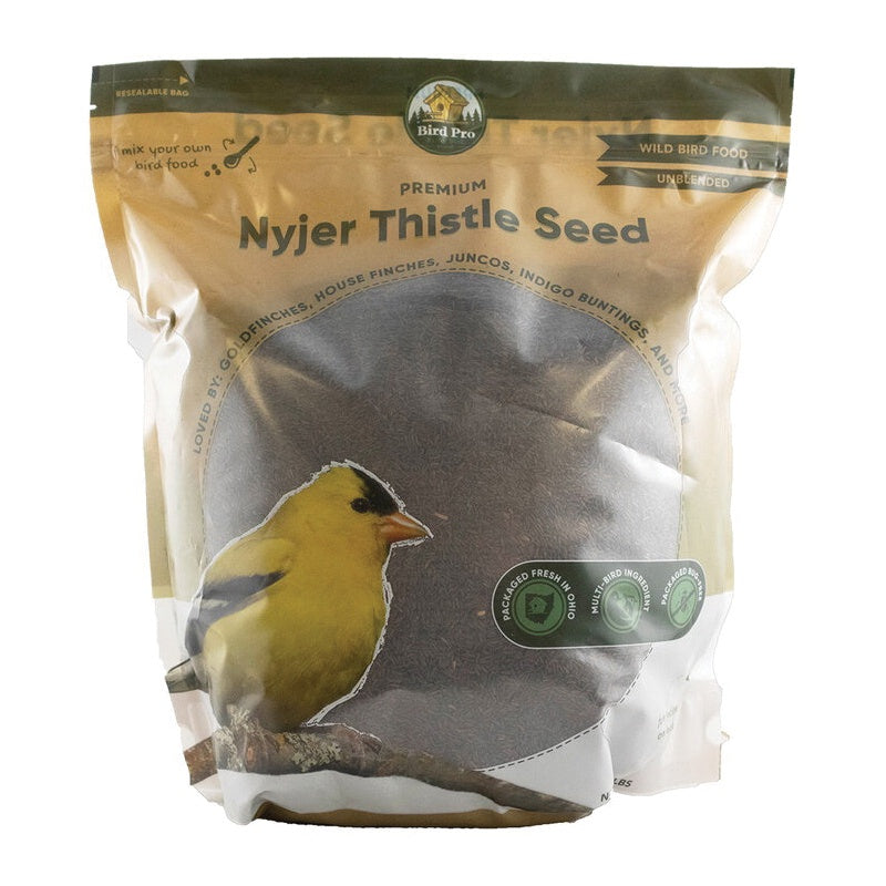 Nyger Thistle Seed Premium 5 lbs.