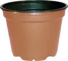 Load image into Gallery viewer, Pot 4" Azalea 2726/case   Sold Individually