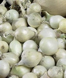 Onion Sets White (sold per pound)