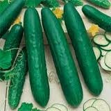Straight Eight Cucumber Sold by the Ounce