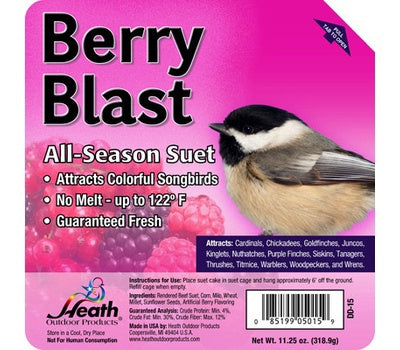 Suet Berry Blast Flavor