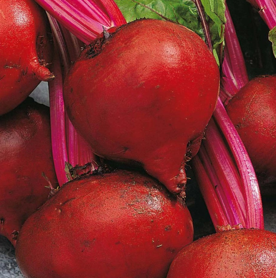Detroit Dark Red Beets Sold by the Ounce