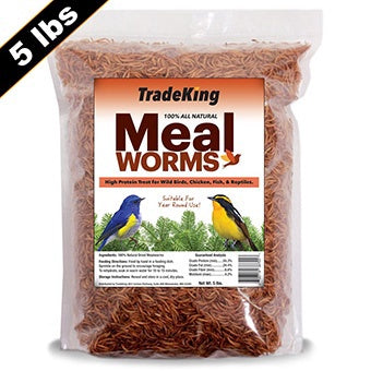 Mealworms Dried Treat 5 lb.