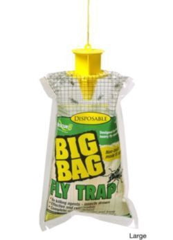Bag Fly Trap